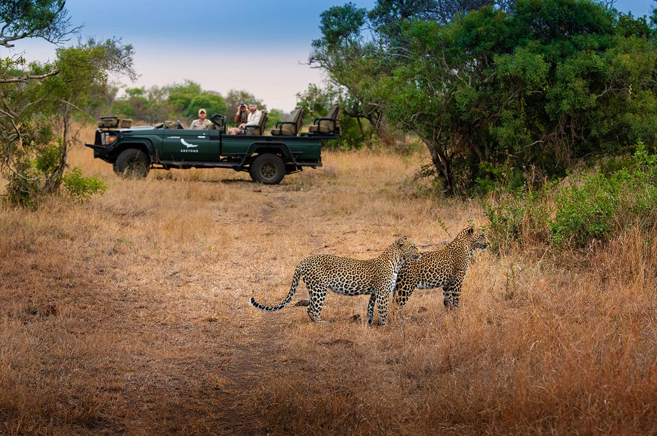 africadosul-reserva-phinda-andbeyond-phindavleilodge-leopardo