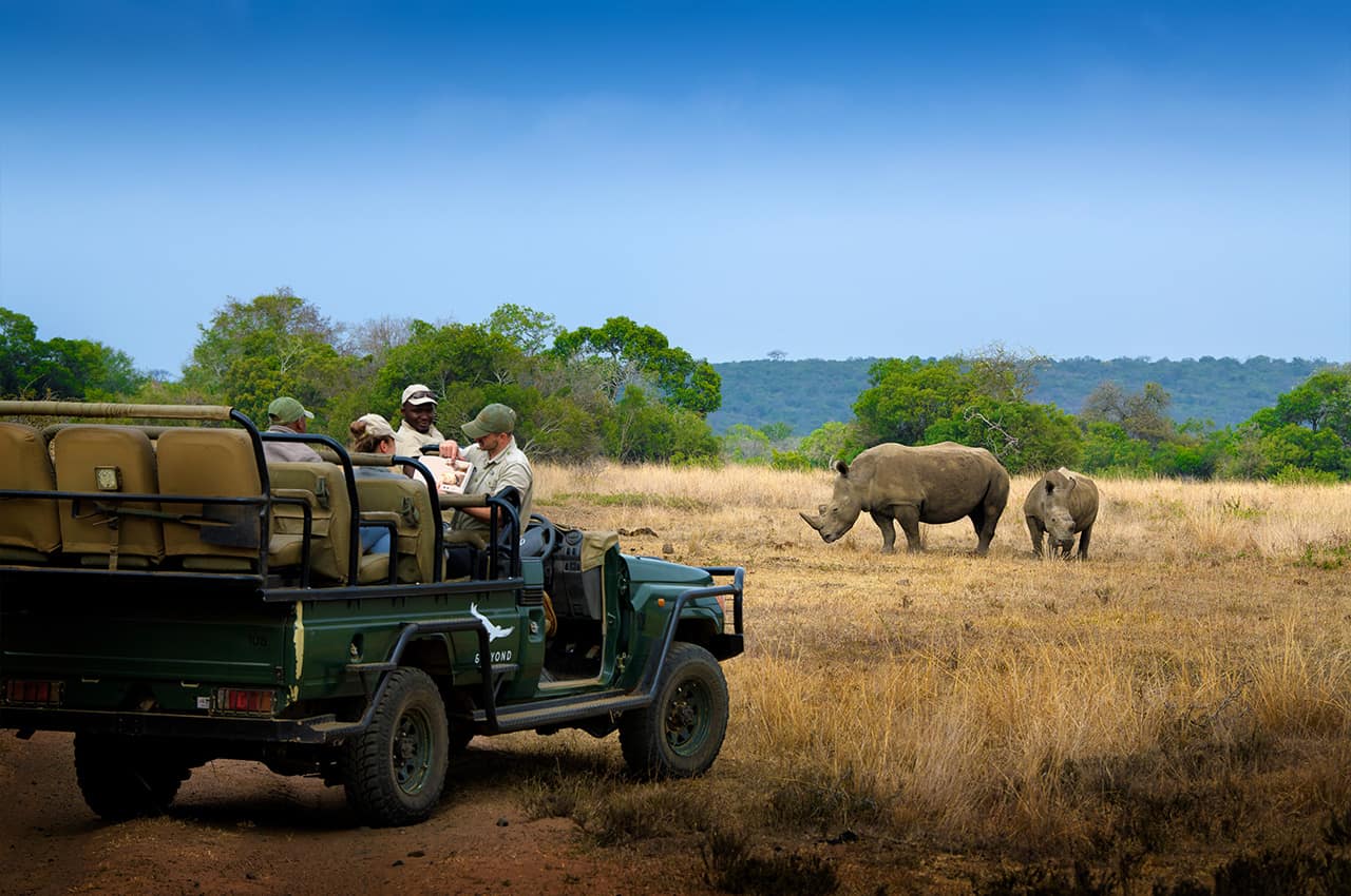 africadosul-reserva-phinda-andbeyond-phindavleilodge-rinoceronte