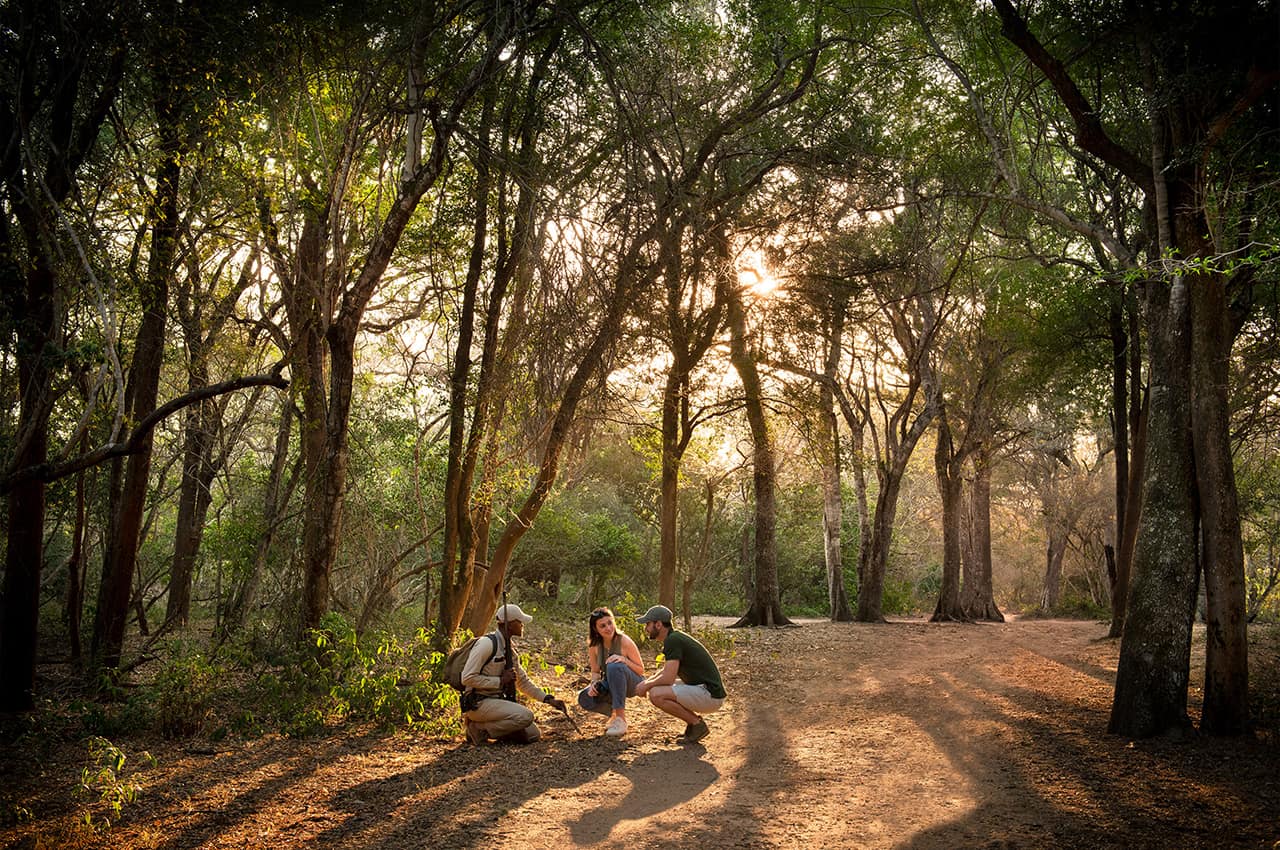 africadosul-reserva-phinda-andbeyond-phindavleilodge-walking-safari