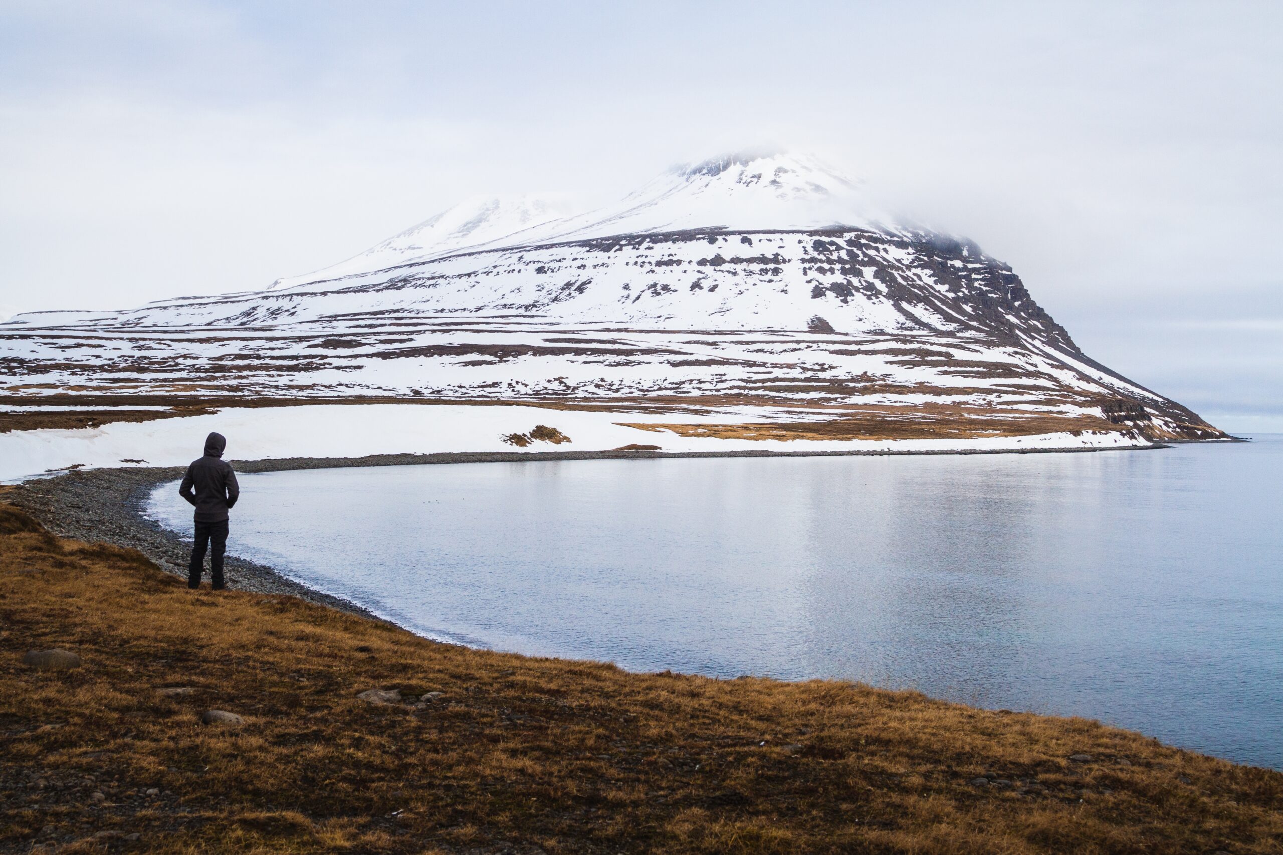 A person standing on a field surrounded by the sea and rocks covered in the snow in Iceland