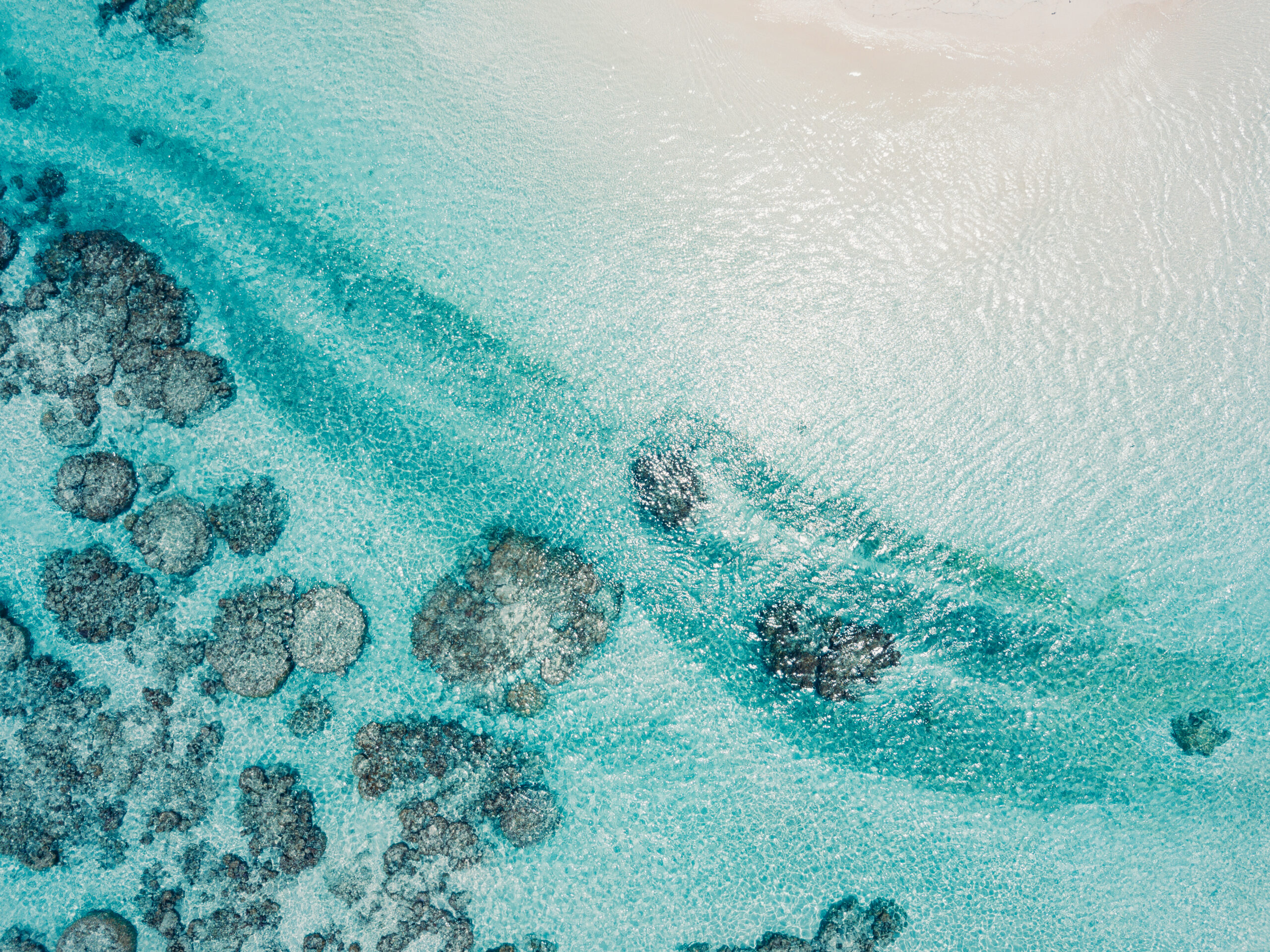 Crédit Instagram : @odieuxboby