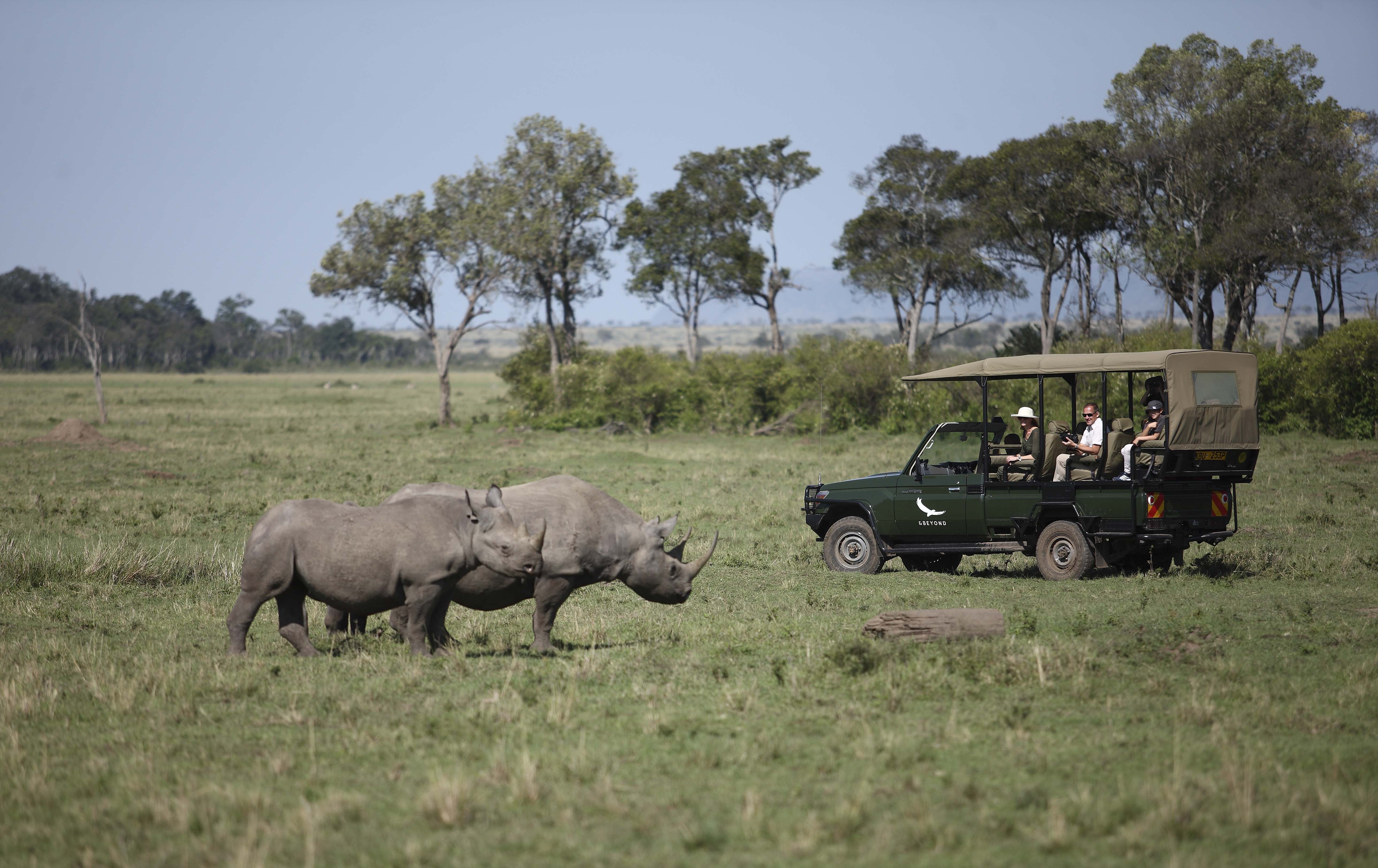 Africa-Kenya-Masai-Mara-Kichwa-black-rhino-2014-247