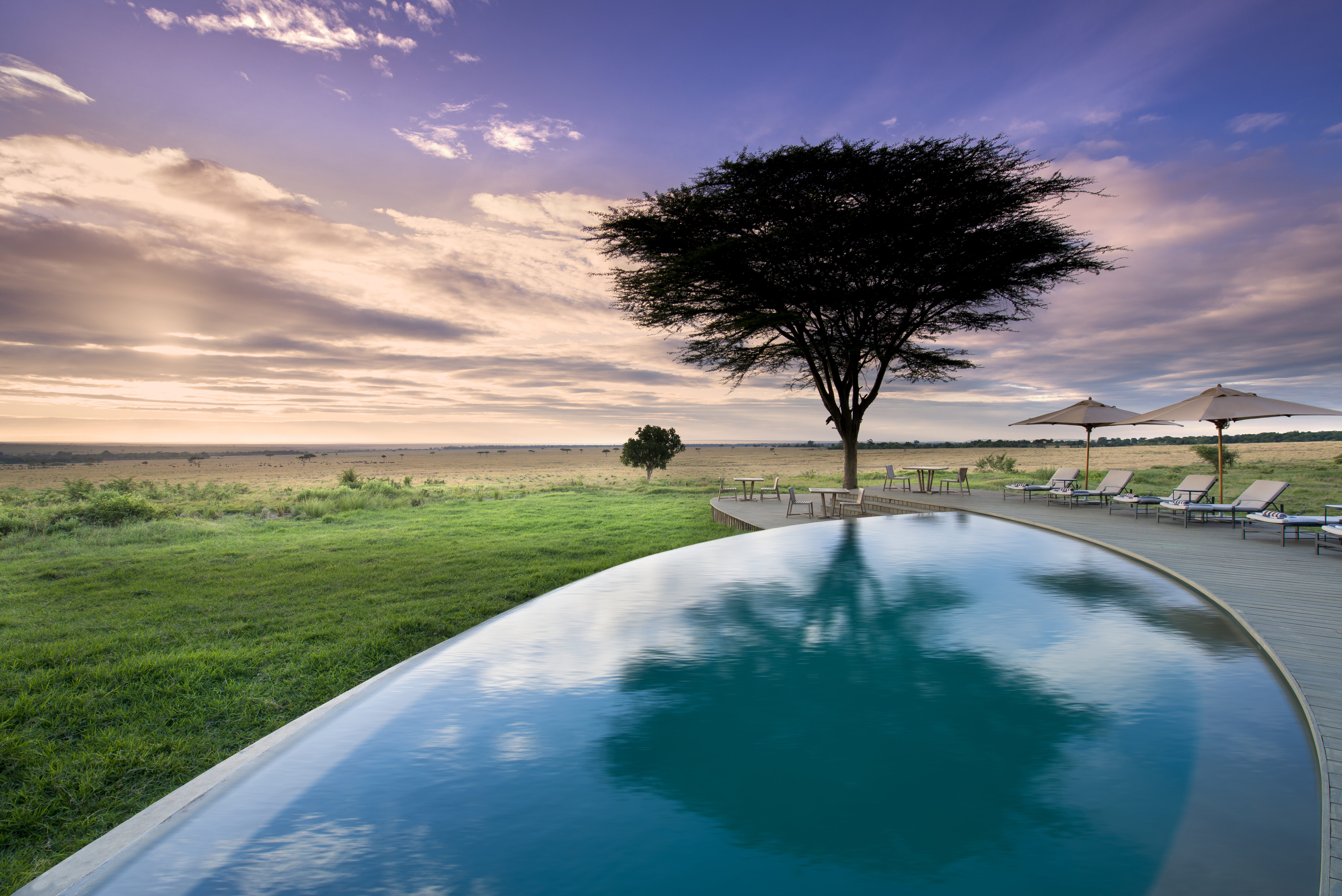 Kenya-Bateleur-camp-South-Guest-area-swimming-pool-with-view