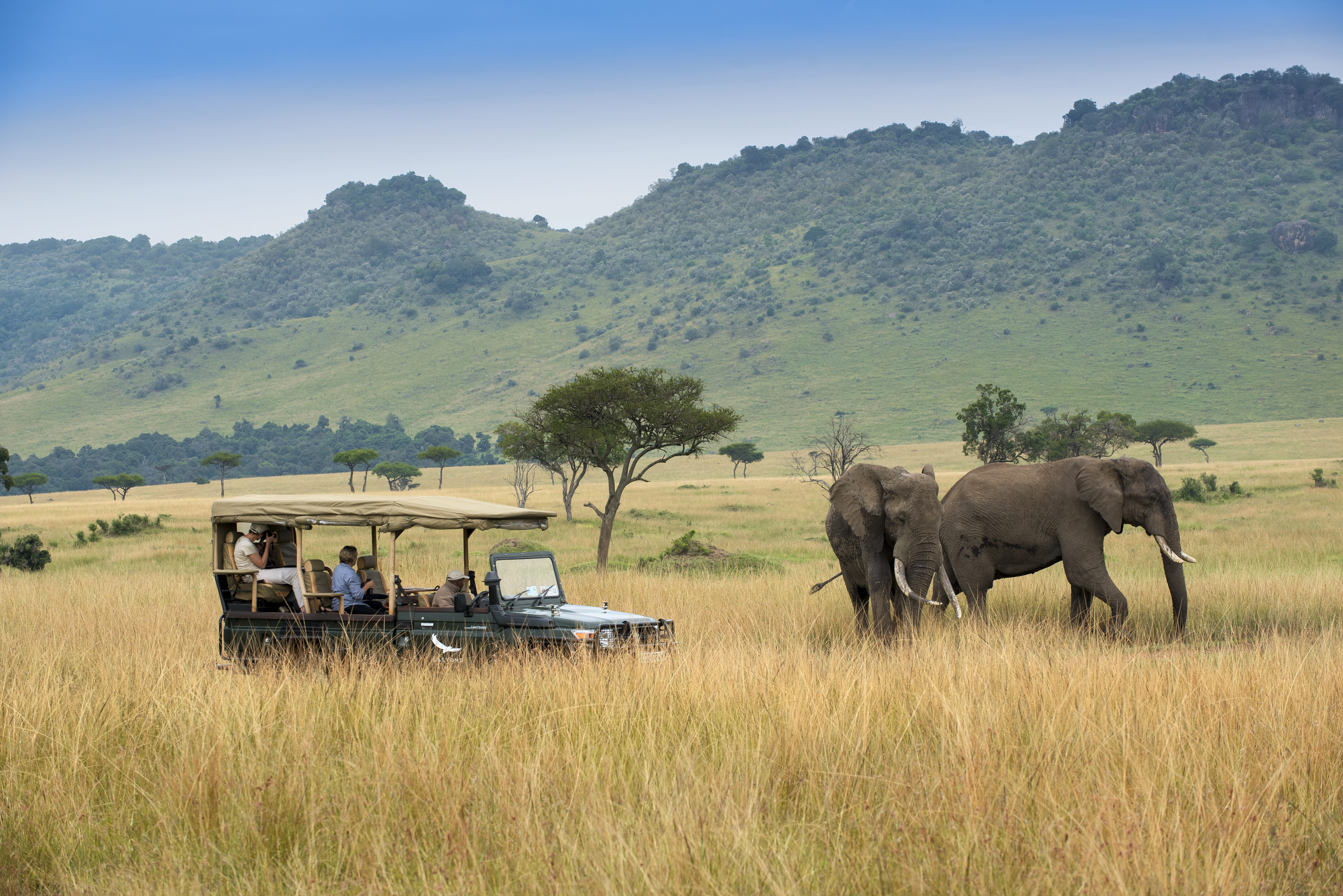 Kenya-Masai-Mara-Bateleur-Camp-elephant-safari-vehicle-13