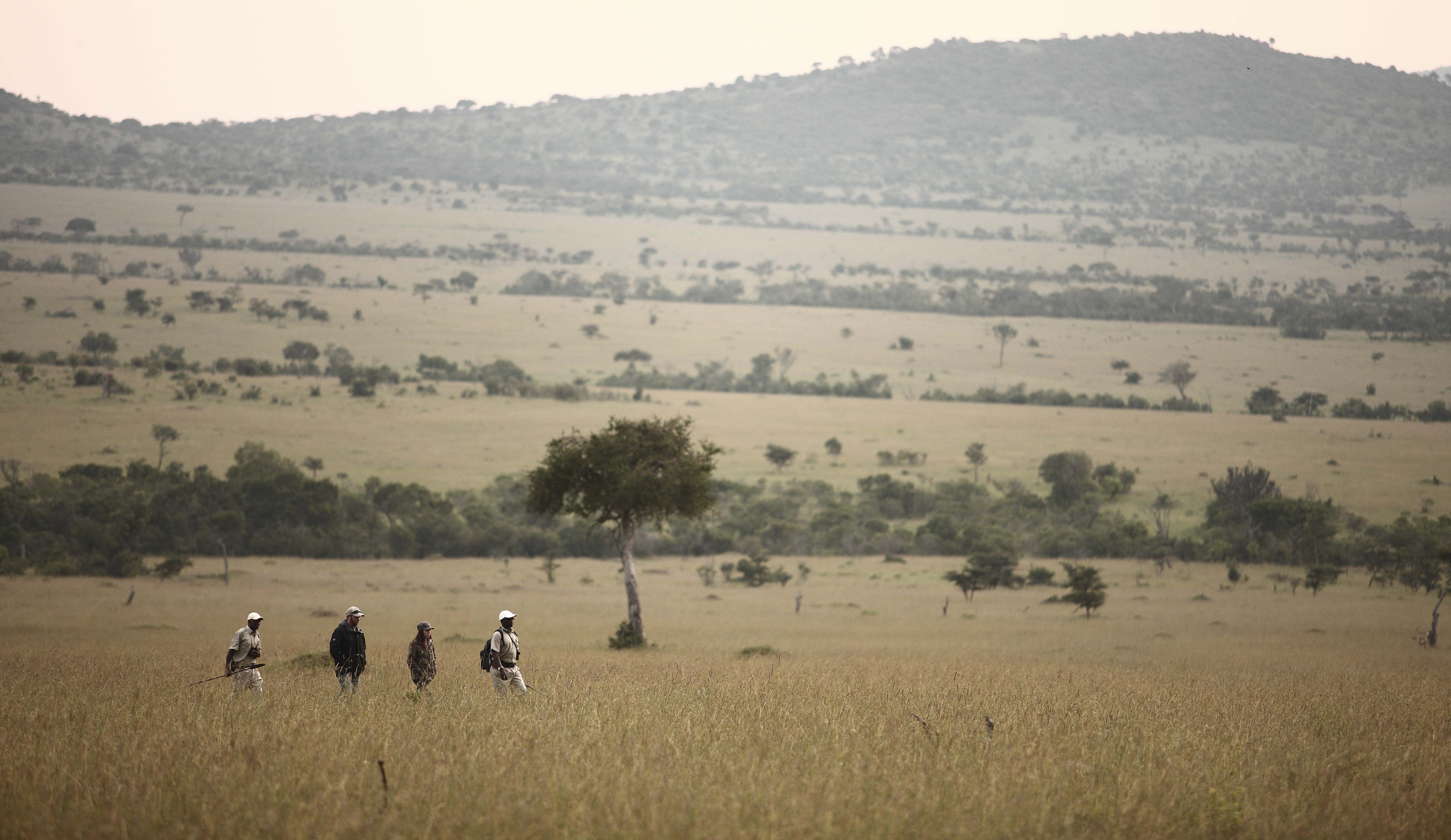 Tanzania-Kleins-Camp-Experience-Walking-safari-3