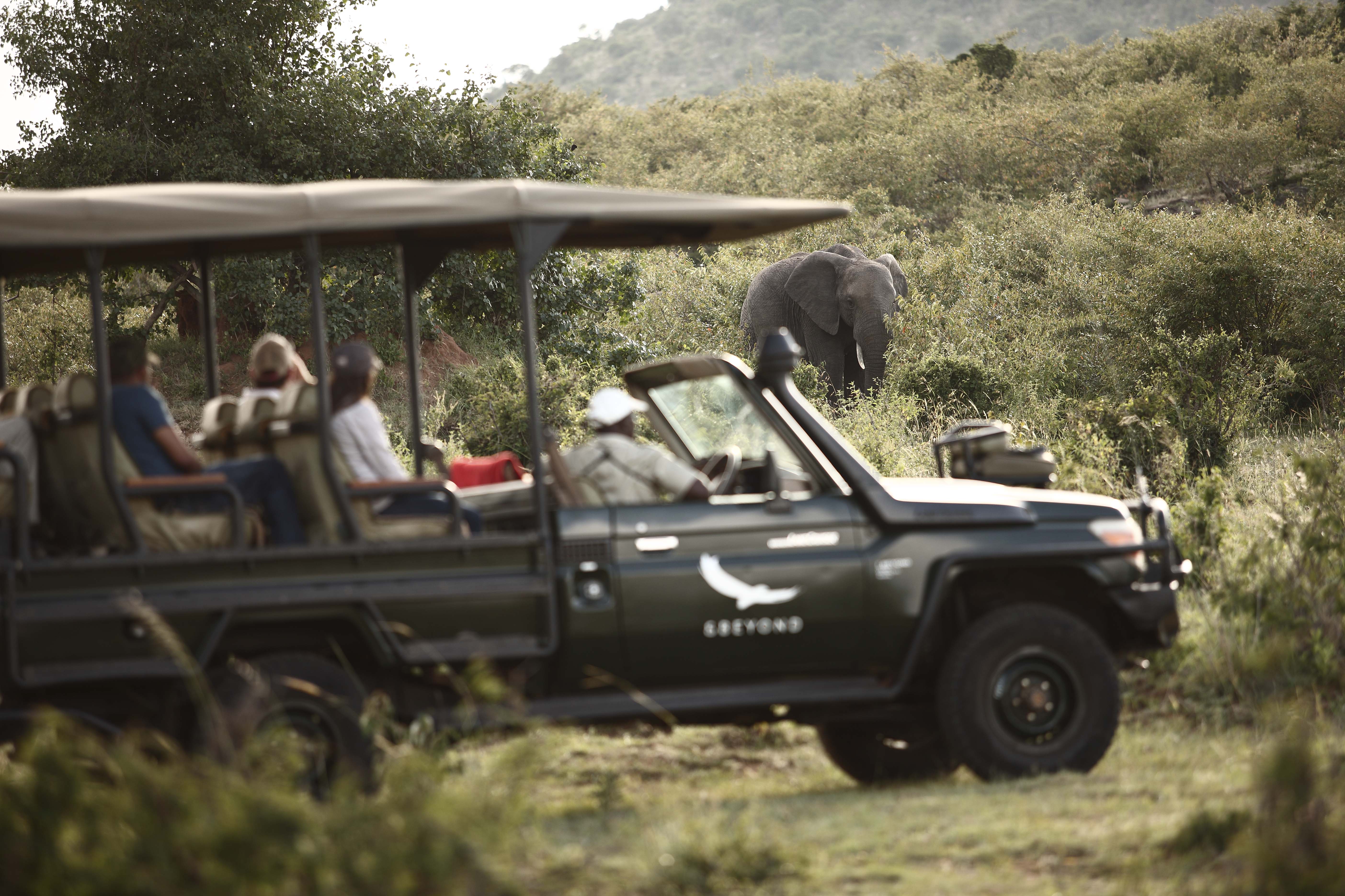 Tanzania-Kleins-Camp-Experience-game-drive-with-elephants-2