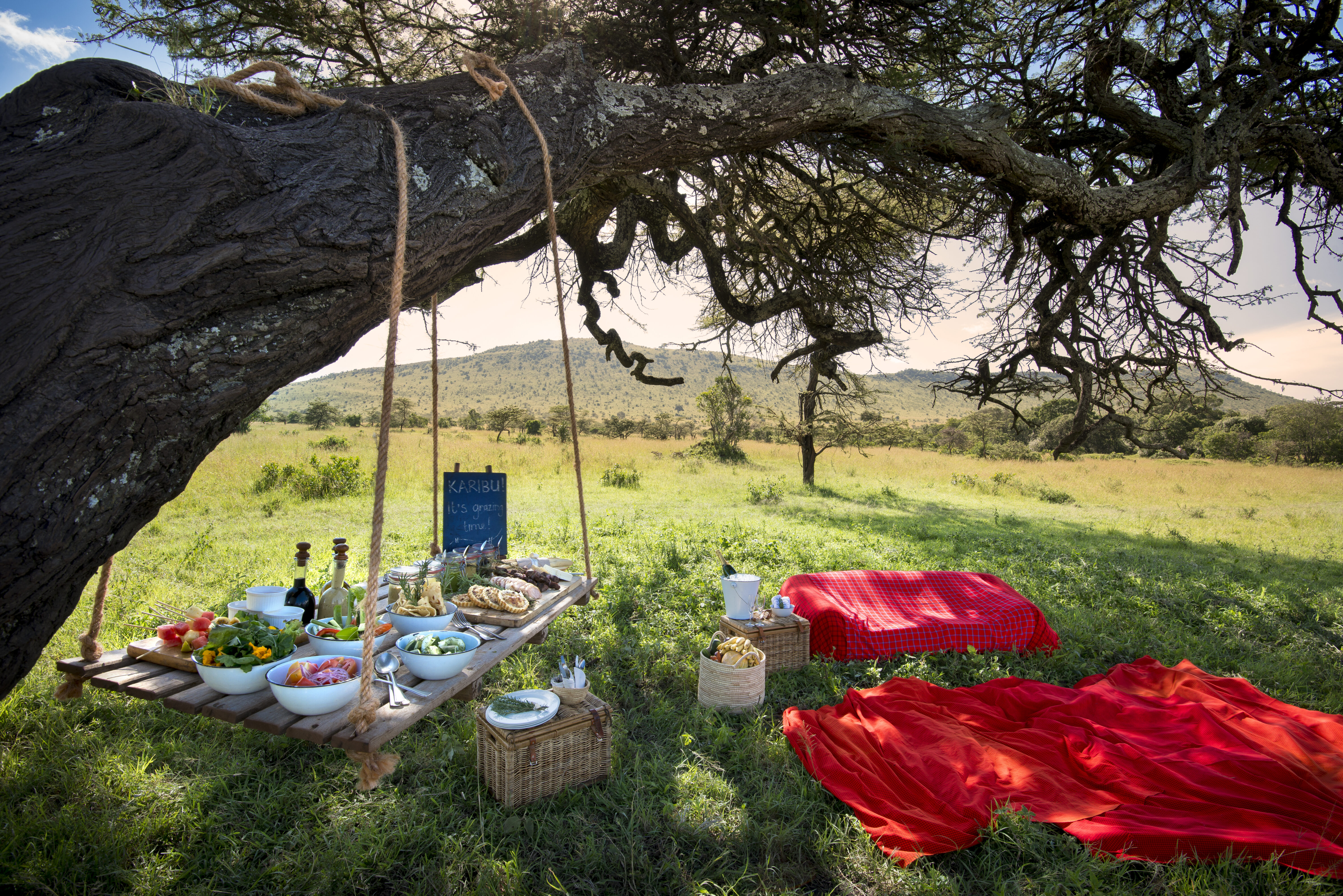 Tanzania-Kleins-Camp-guest-delight-lunch-under-the-trees-1