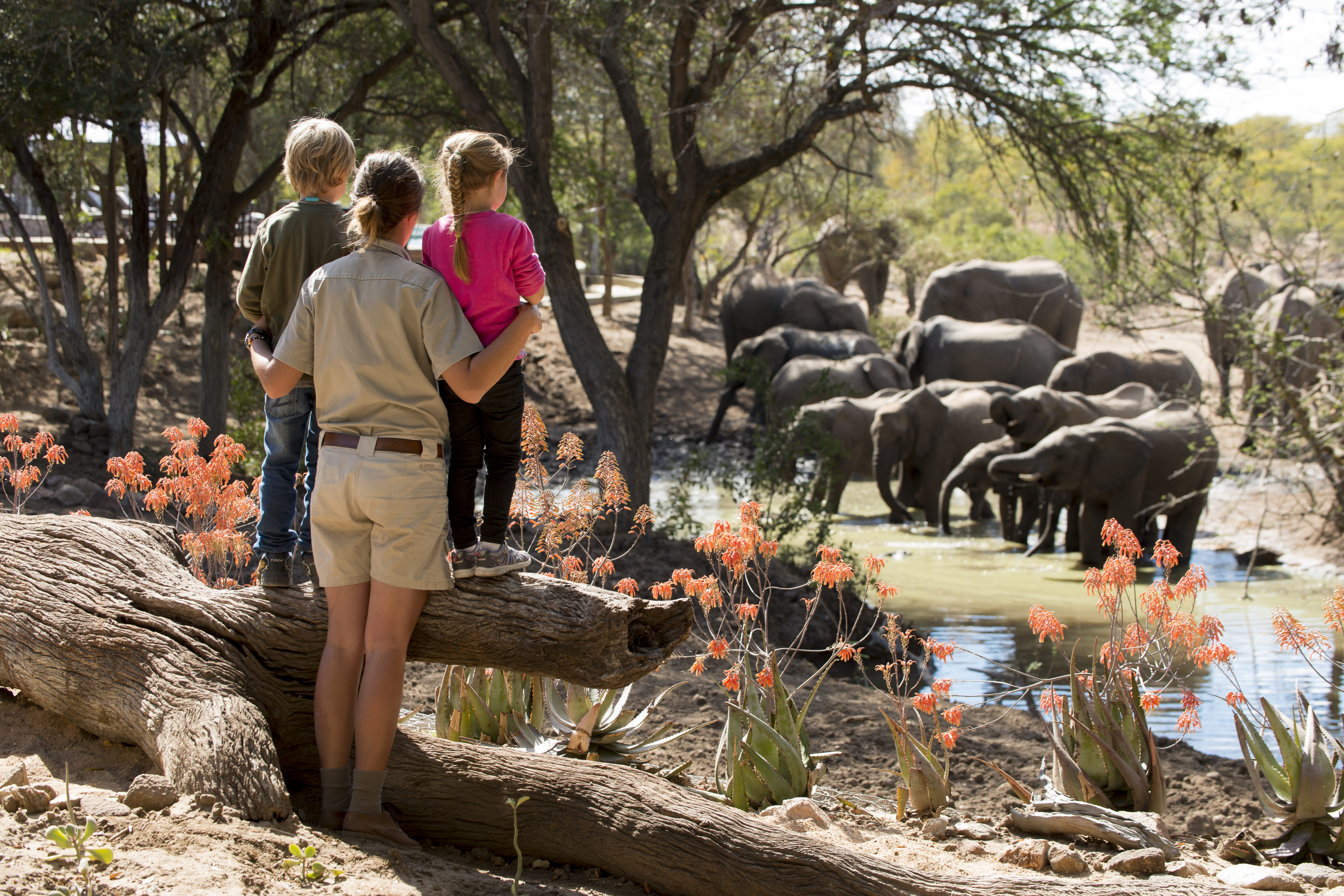 Ngala-Safari-Lodge-Wildchild-kids-andBeyonder-guide-elephant-7