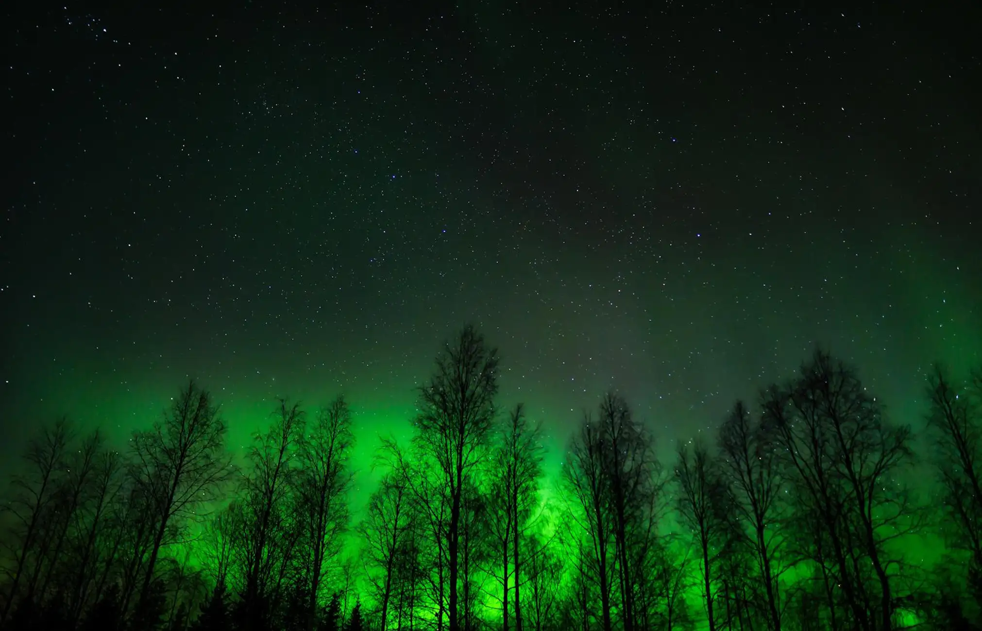 Saariselkä21e03e343064d0f1f45a606398c0a9e37ac8a6f4808fdede6ea0d12ef9579004