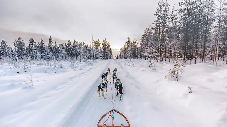 iStock-1277586787-LOWRES